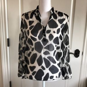100% Silk Shear Blouse